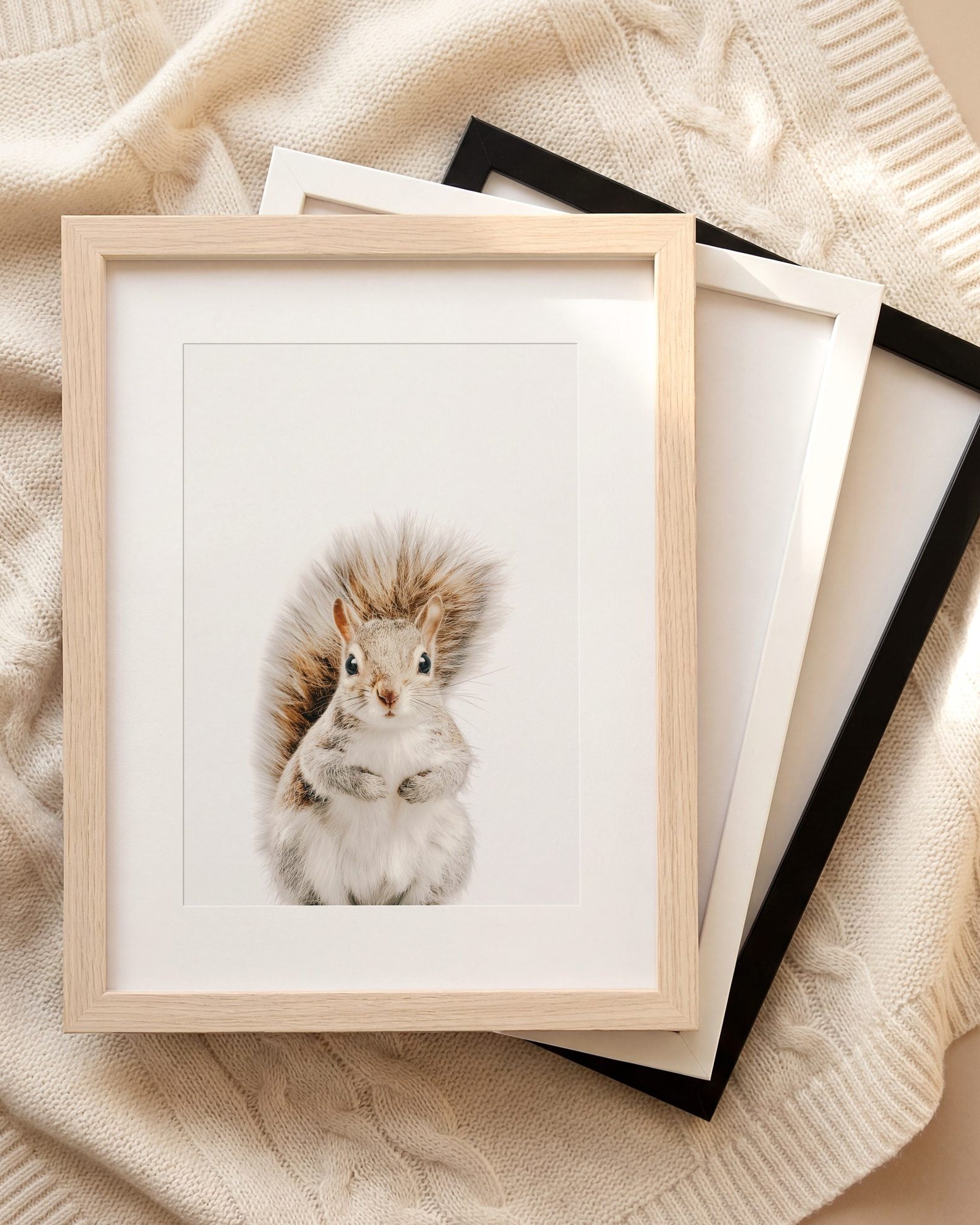 The Baby Animals 2026 Collection