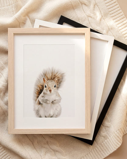 The Baby Animals 2026 Collection