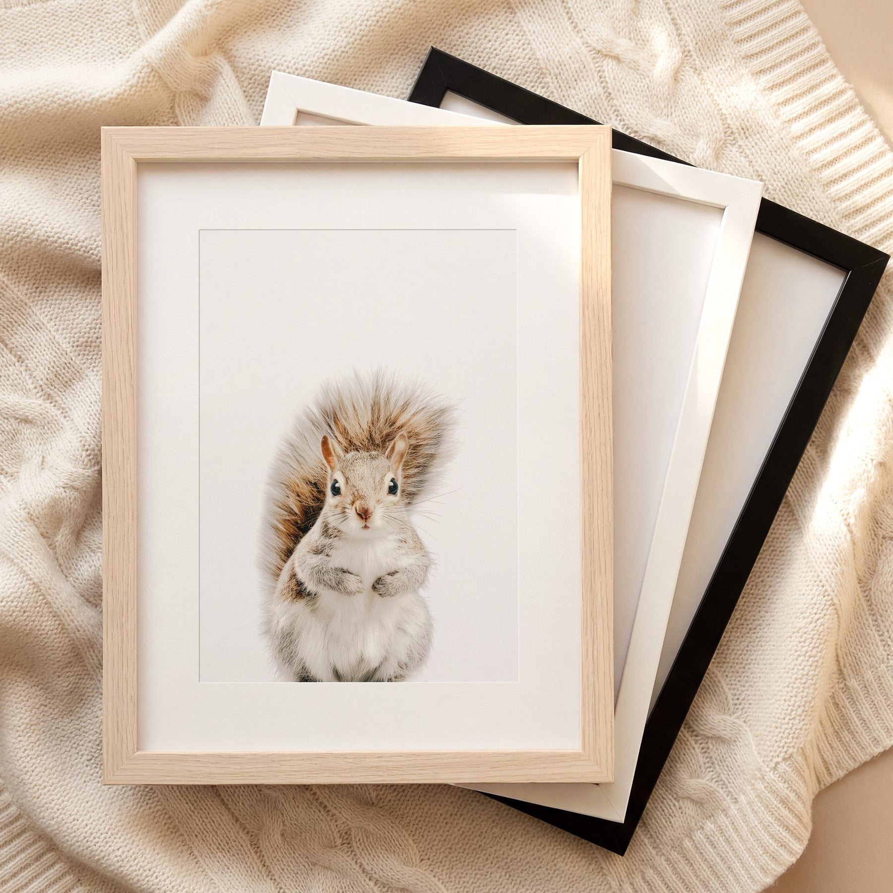 The Baby Animals 2026 Collection