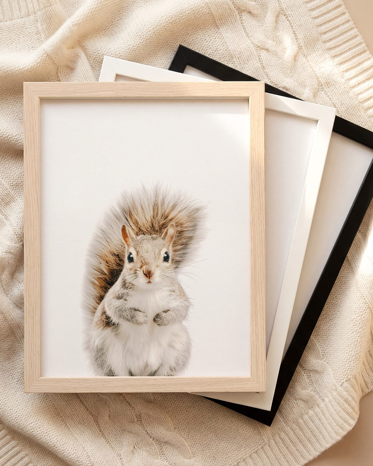 The Baby Animals 2026 Collection