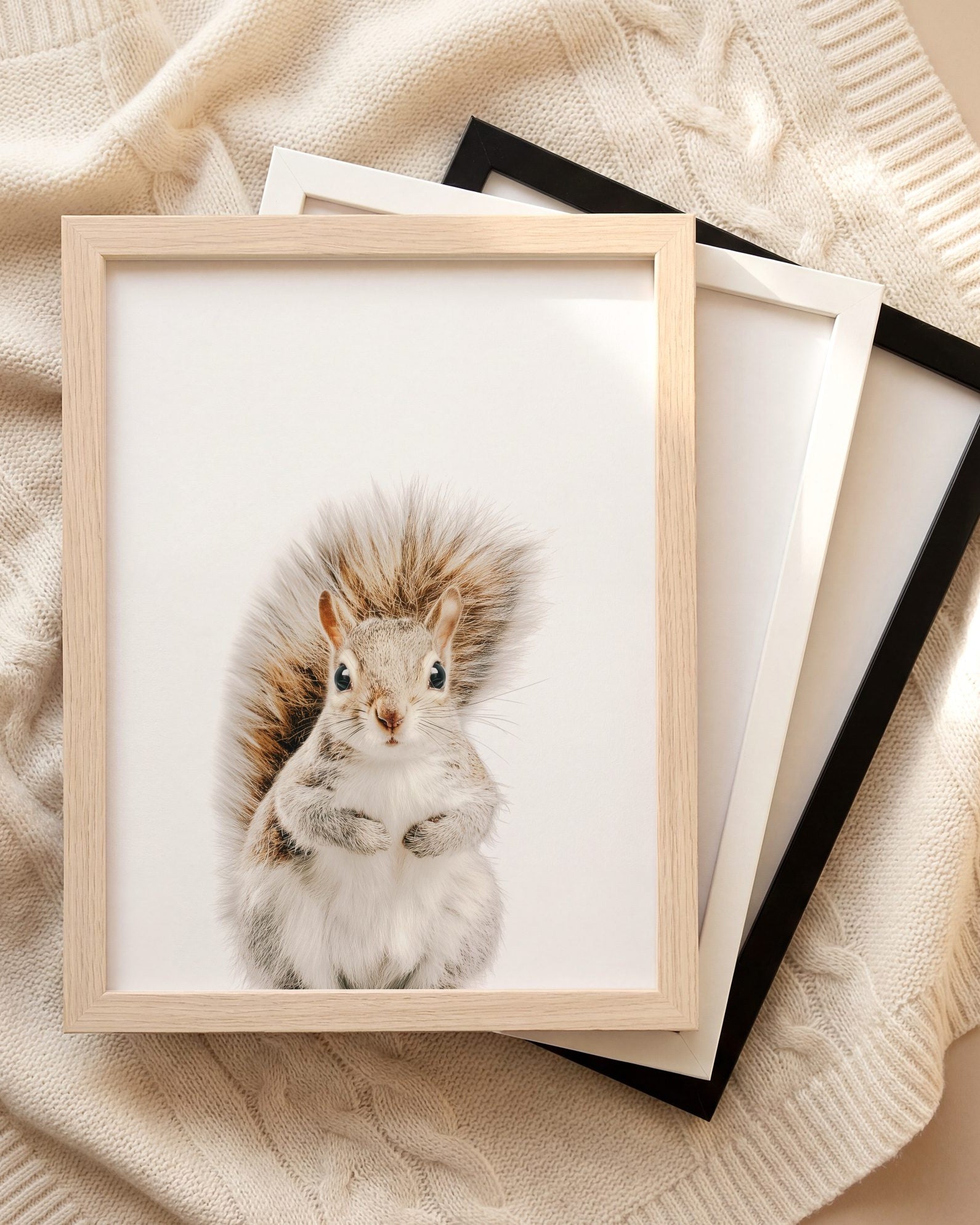 The Baby Animals 2026 Collection