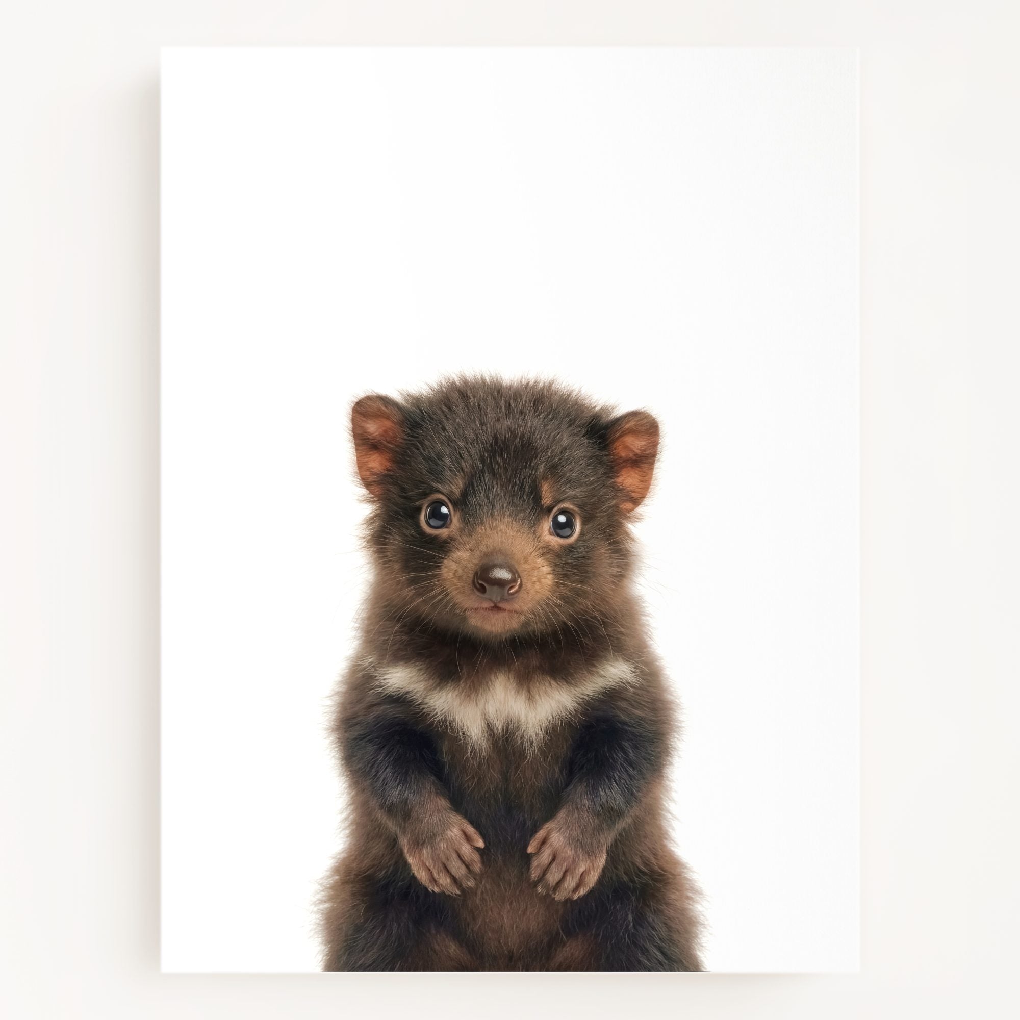The Baby Animals 2026 Collection