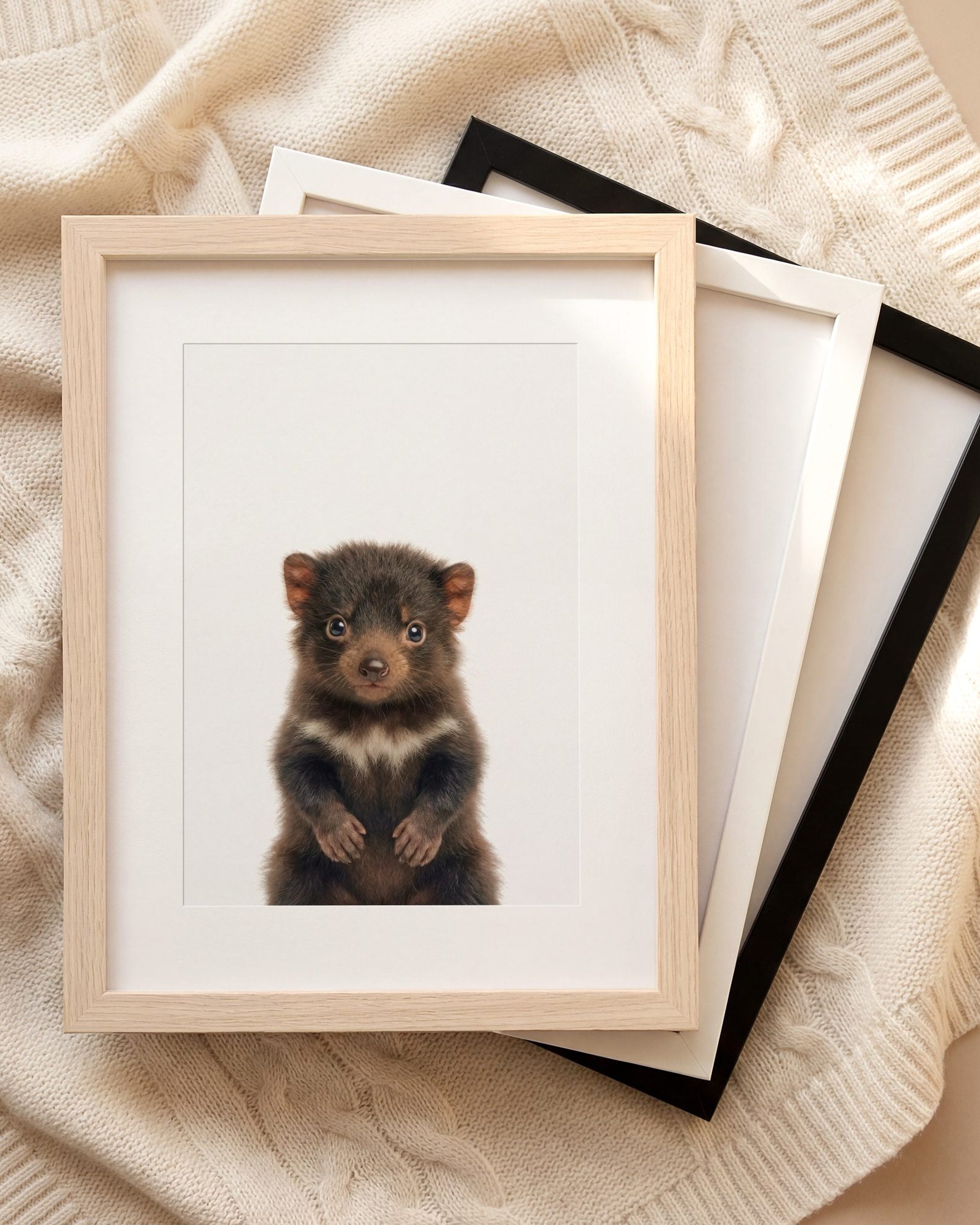 The Baby Animals 2026 Collection