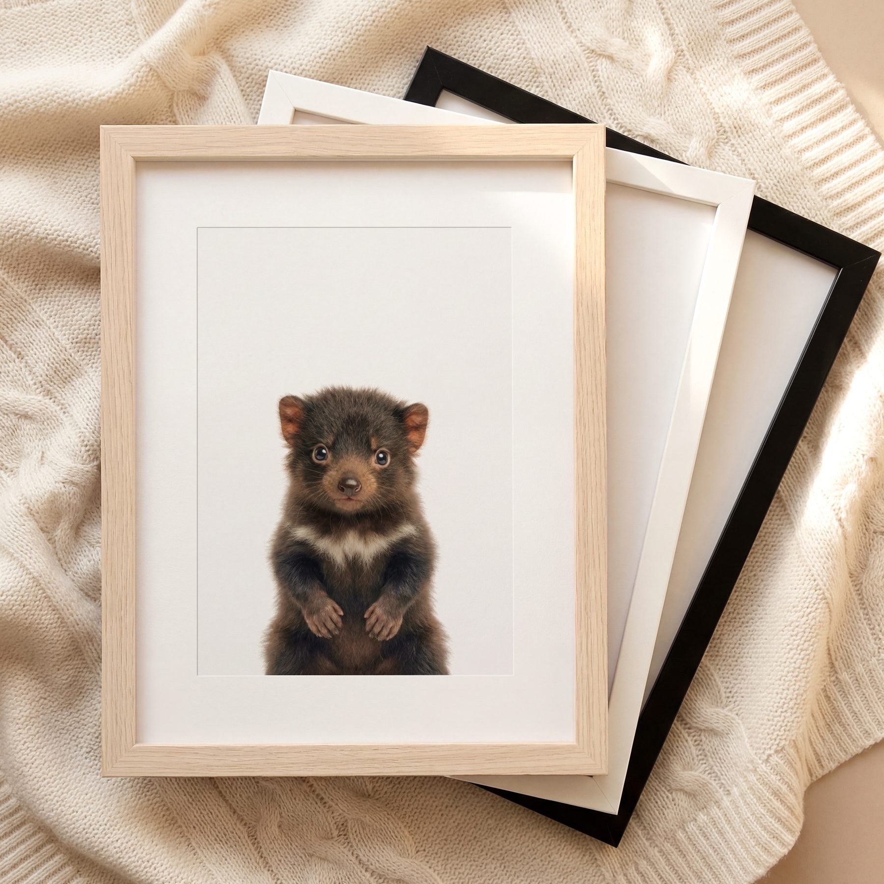 The Baby Animals 2026 Collection