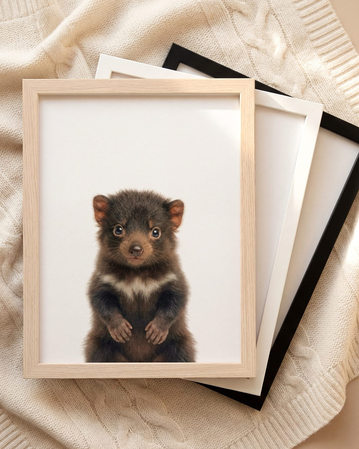 The Baby Animals 2026 Collection