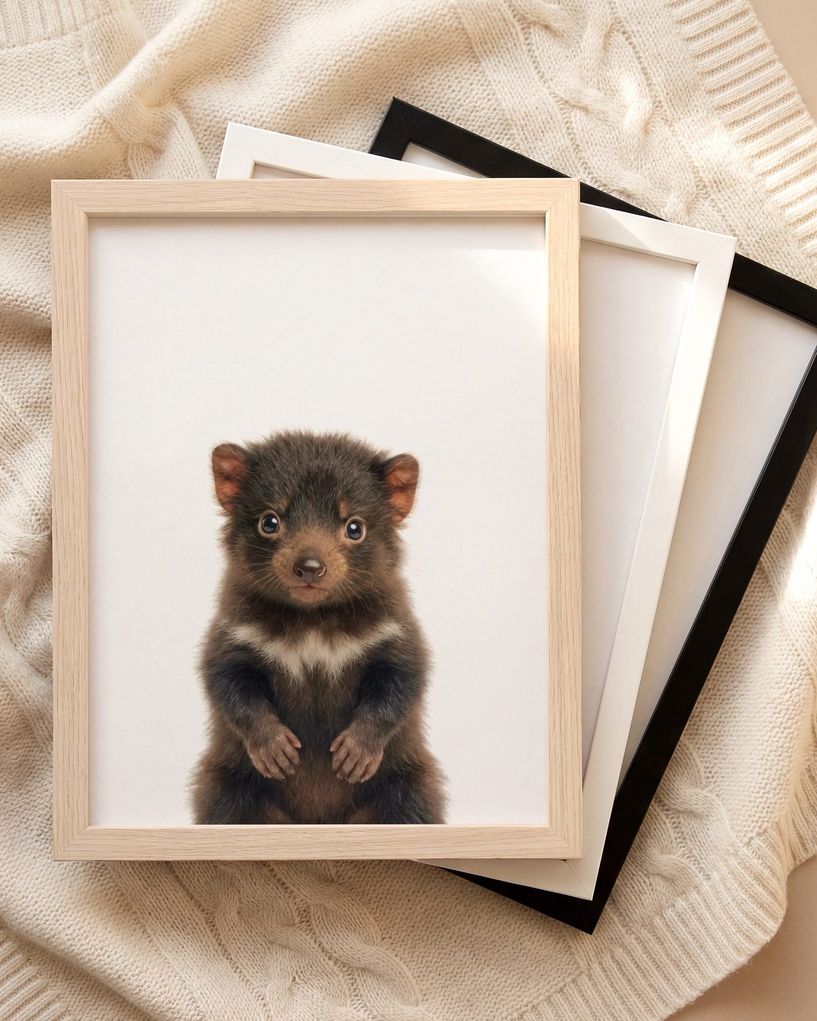 The Baby Animals 2026 Collection