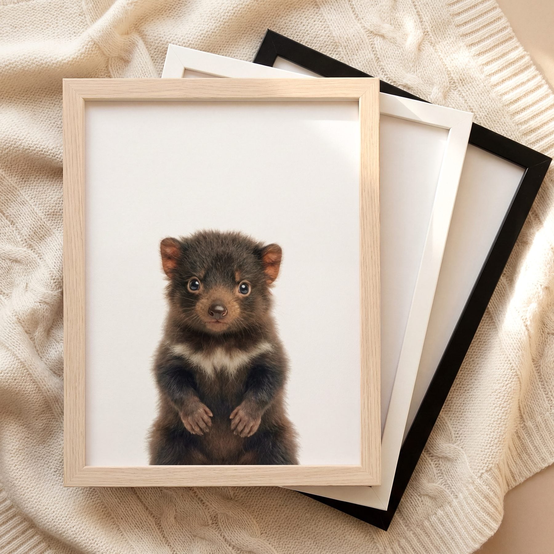 The Baby Animals 2026 Collection