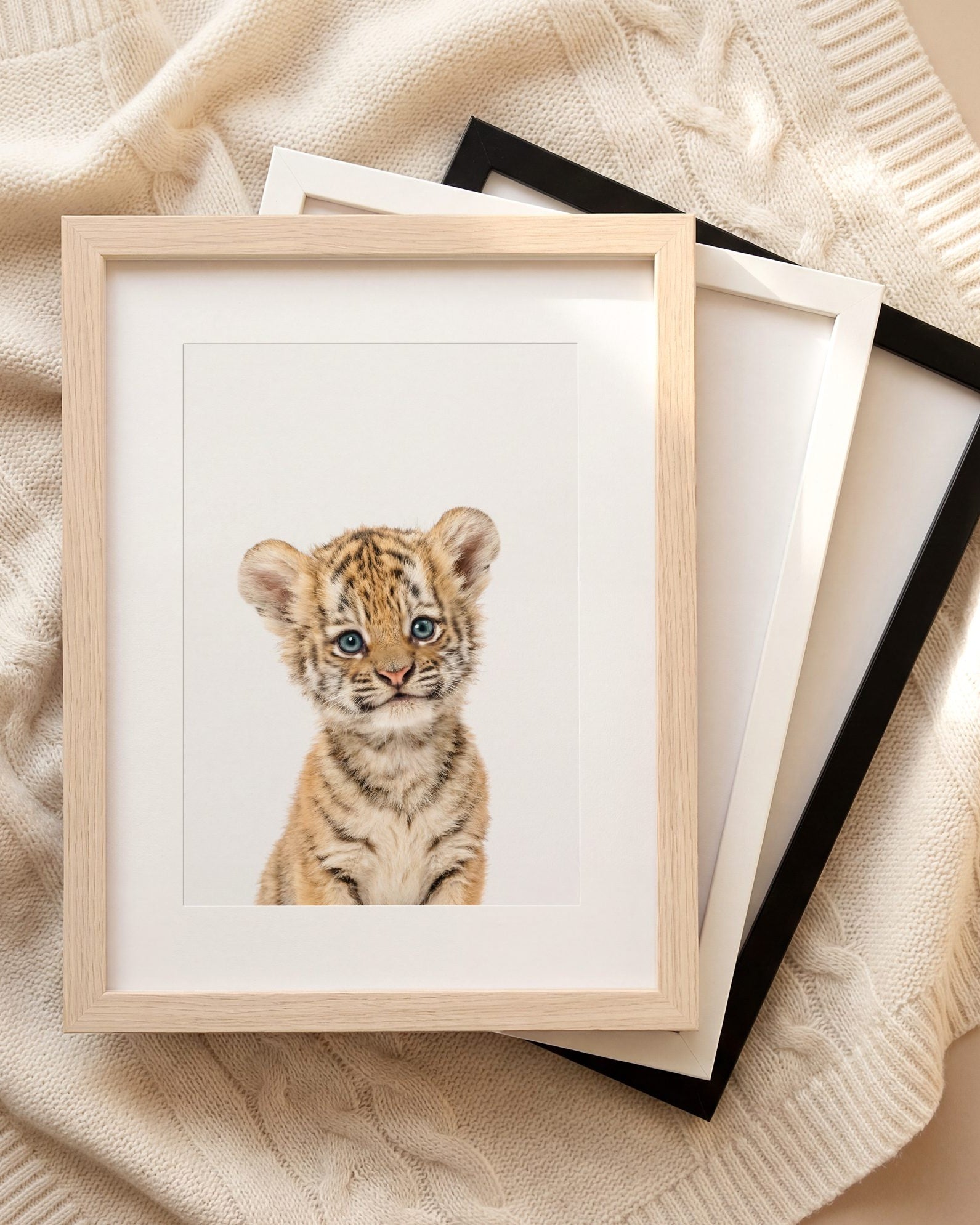 The Baby Animals 2026 Collection