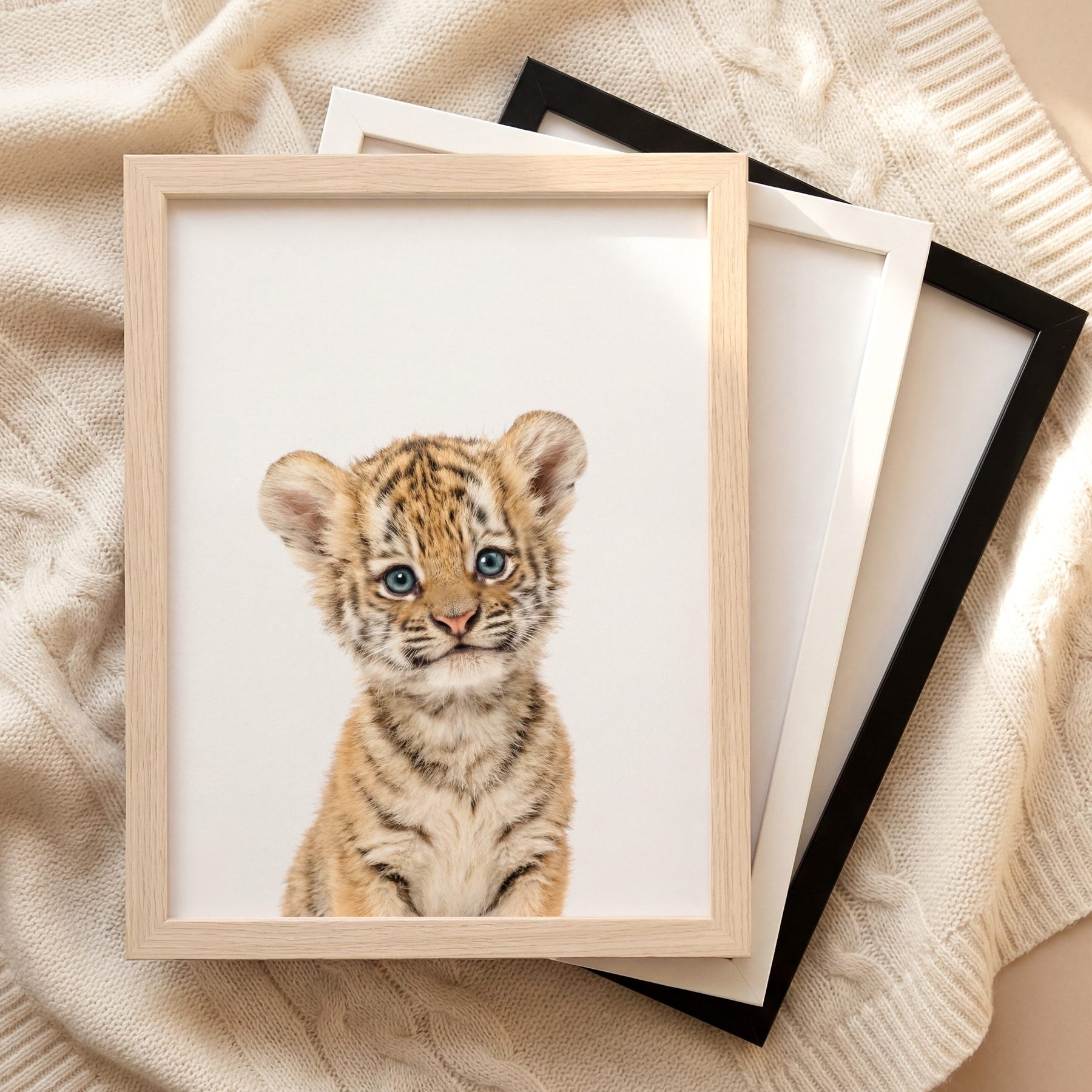 The Baby Animals 2026 Collection