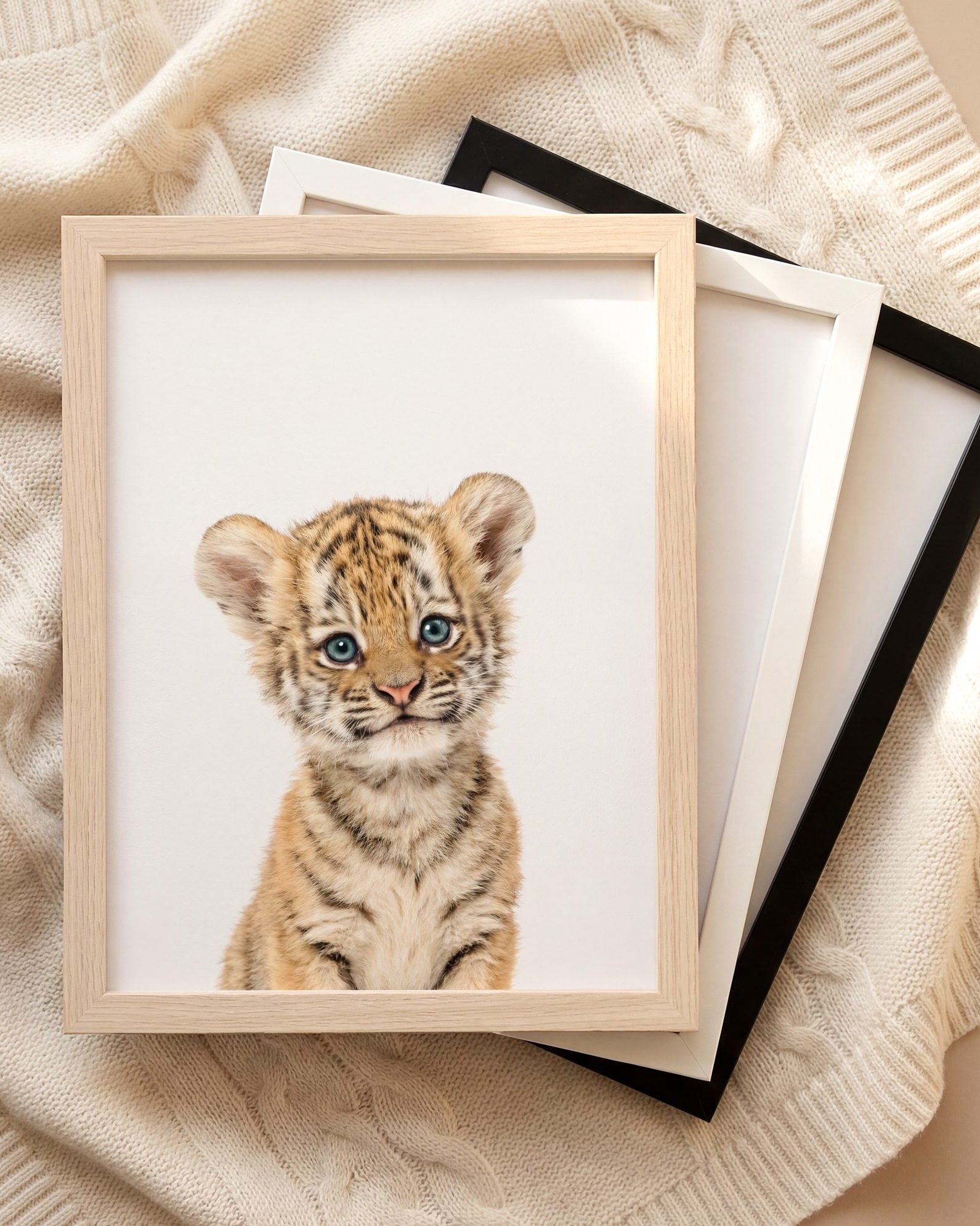 The Baby Animals 2026 Collection