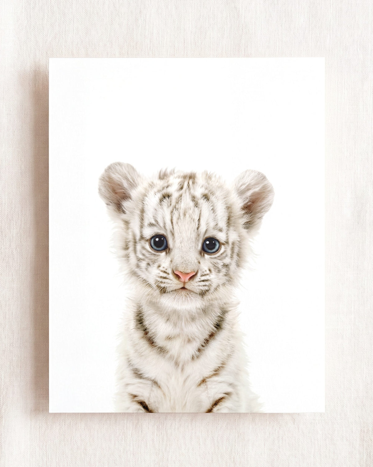 The Baby Animals 2026 Collection