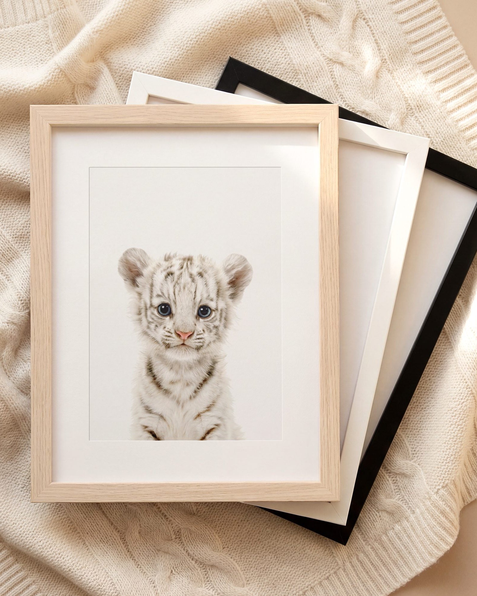 The Baby Animals 2026 Collection