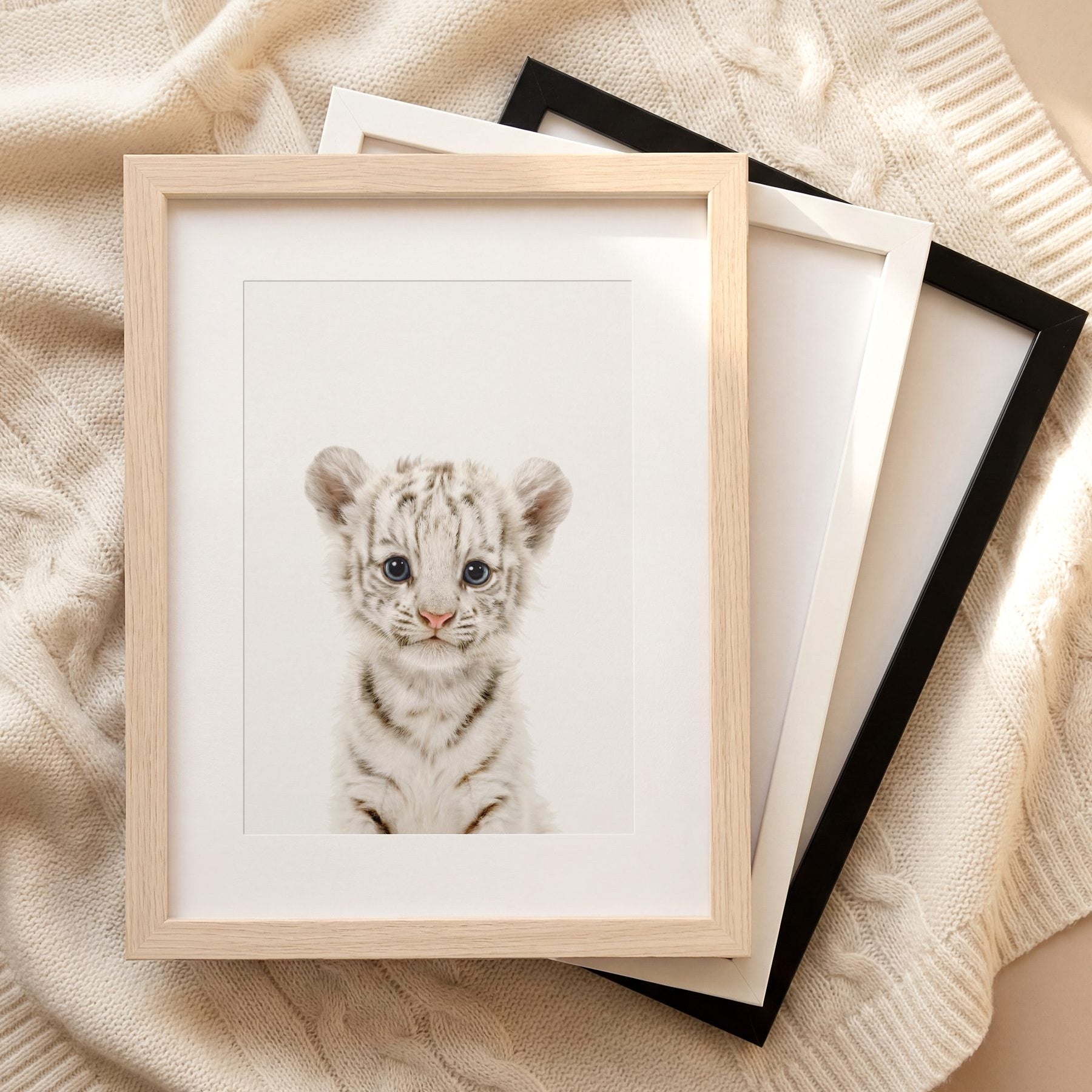 The Baby Animals 2026 Collection