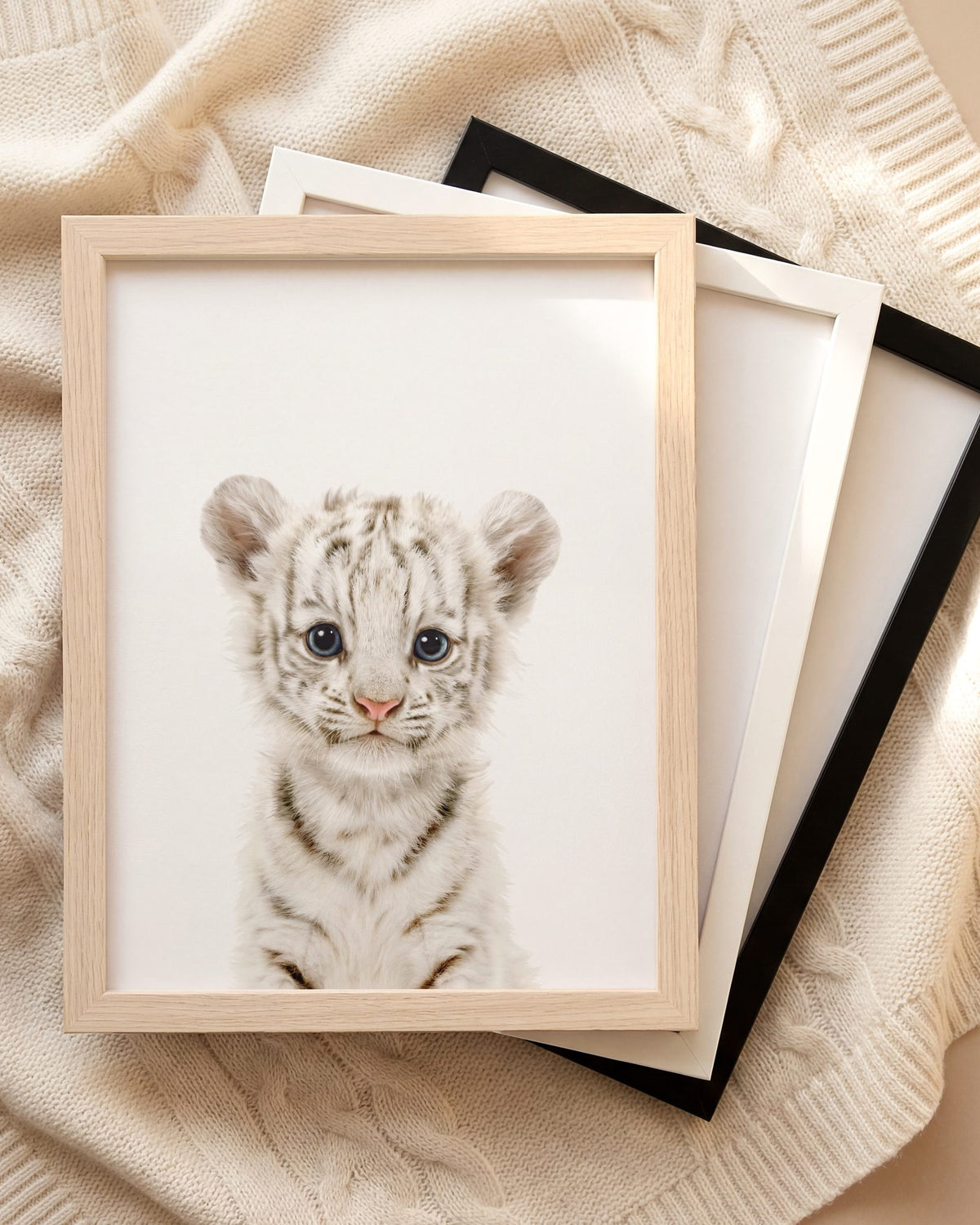 The Baby Animals 2026 Collection