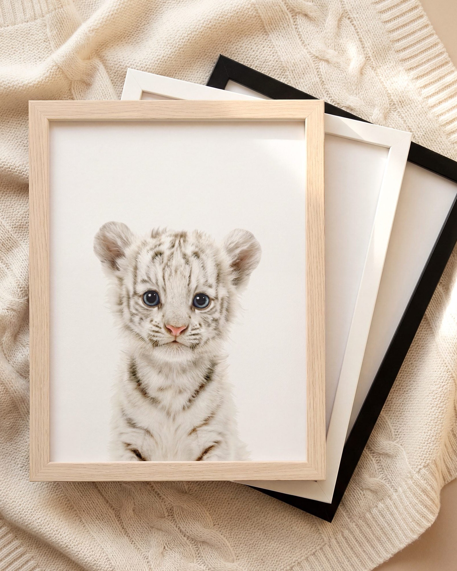 The Baby Animals 2026 Collection