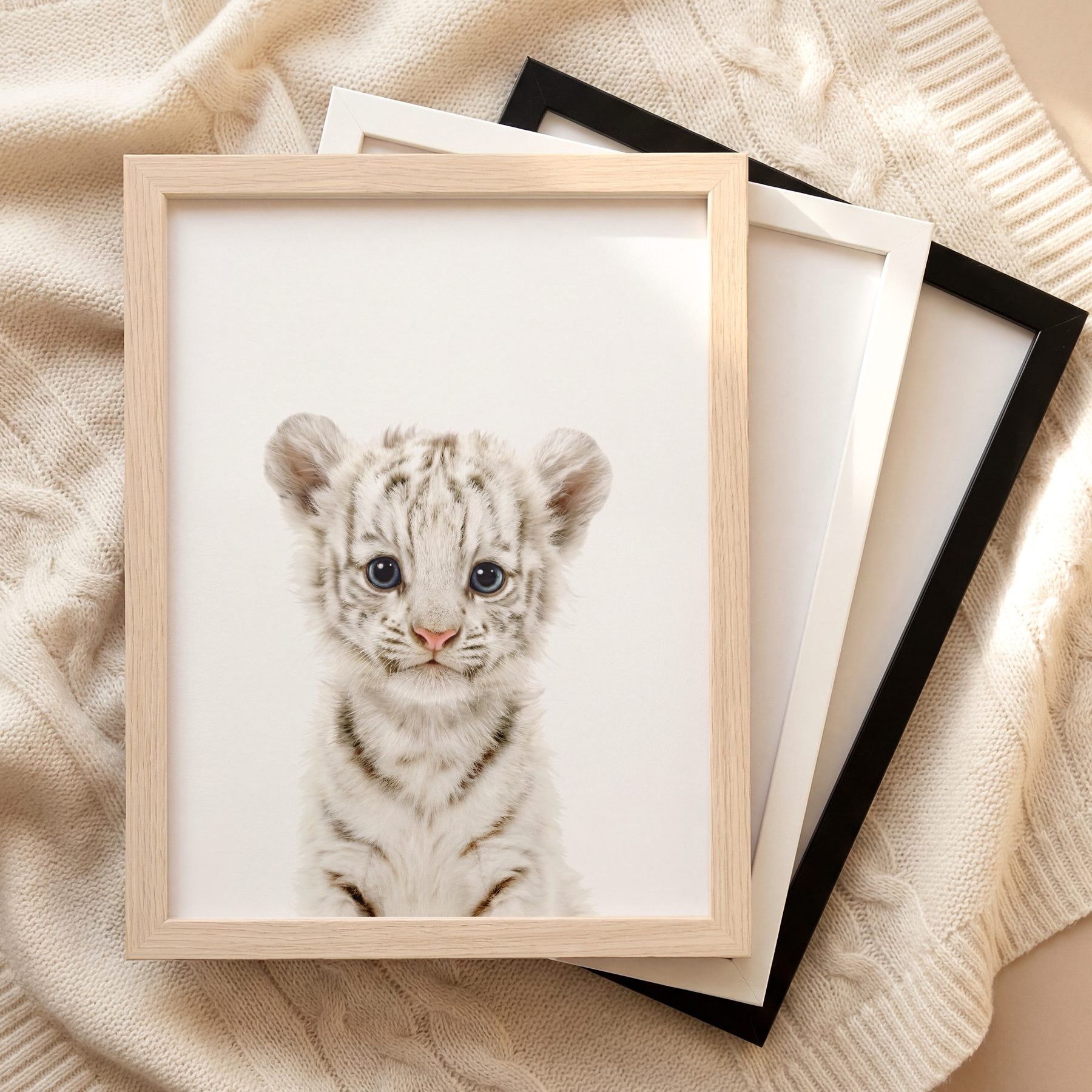 The Baby Animals 2026 Collection