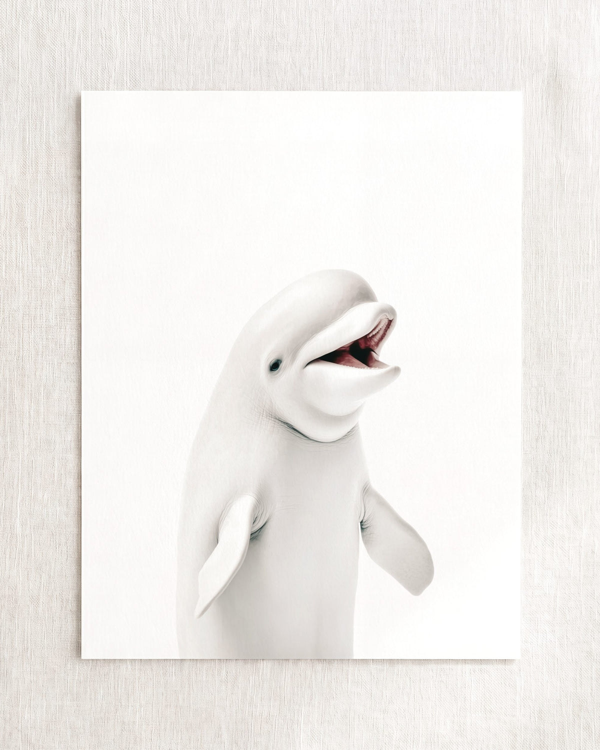 The Baby Animals 2026 Collection