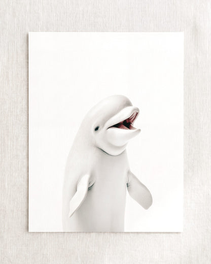 The Baby Animals 2026 Collection