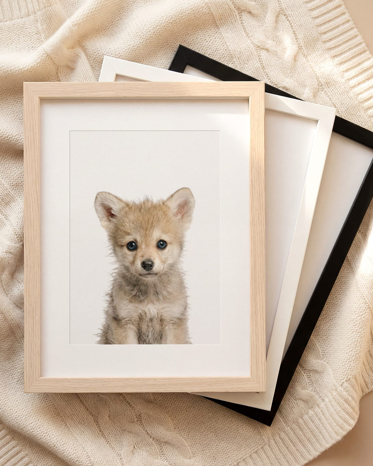 The Baby Animals 2026 Collection