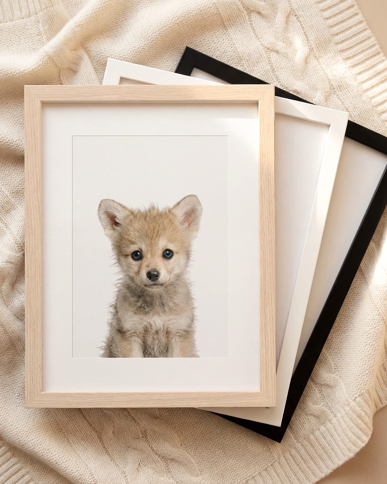 The Baby Animals 2026 Collection