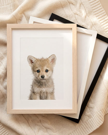 The Baby Animals 2026 Collection