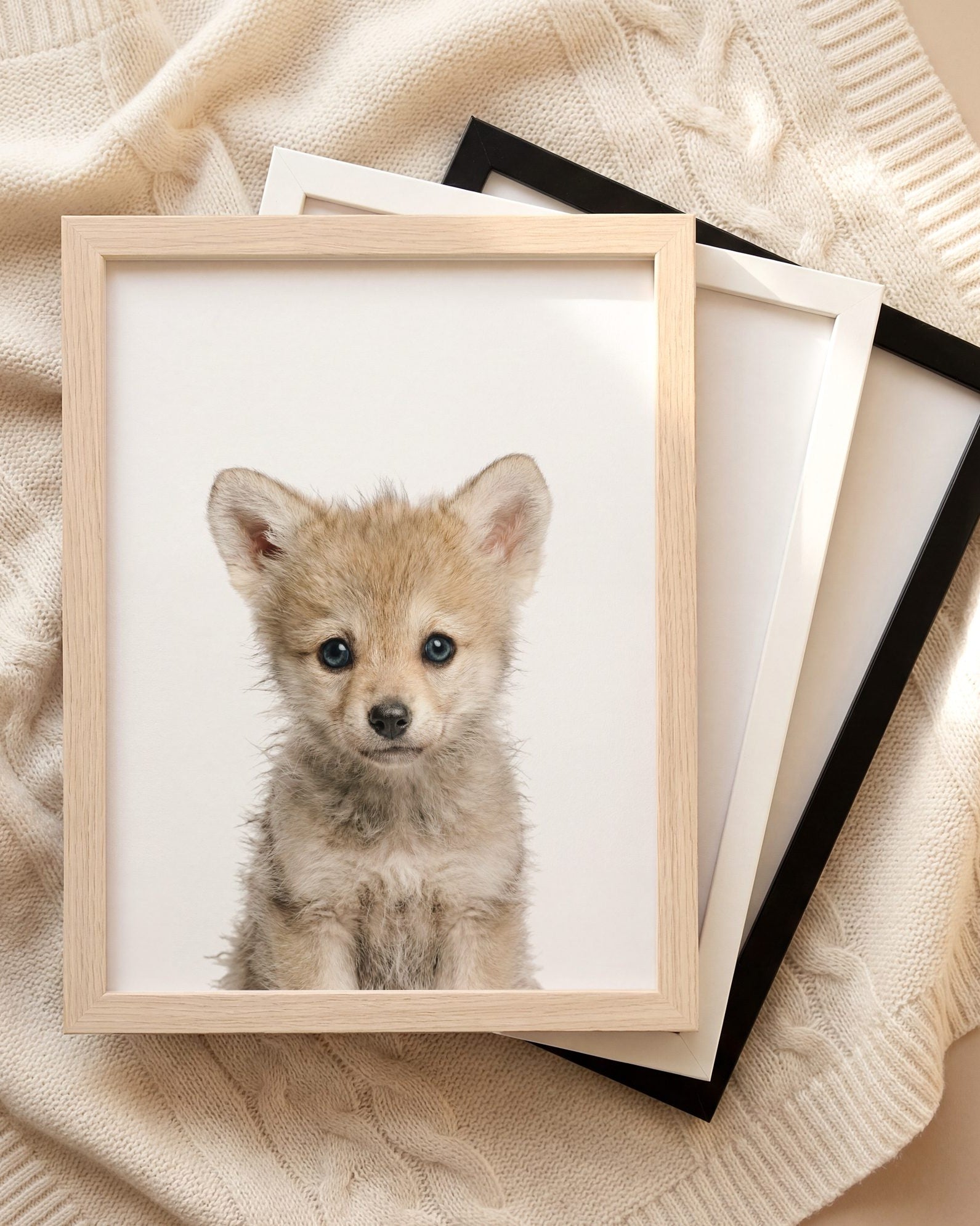 The Baby Animals 2026 Collection