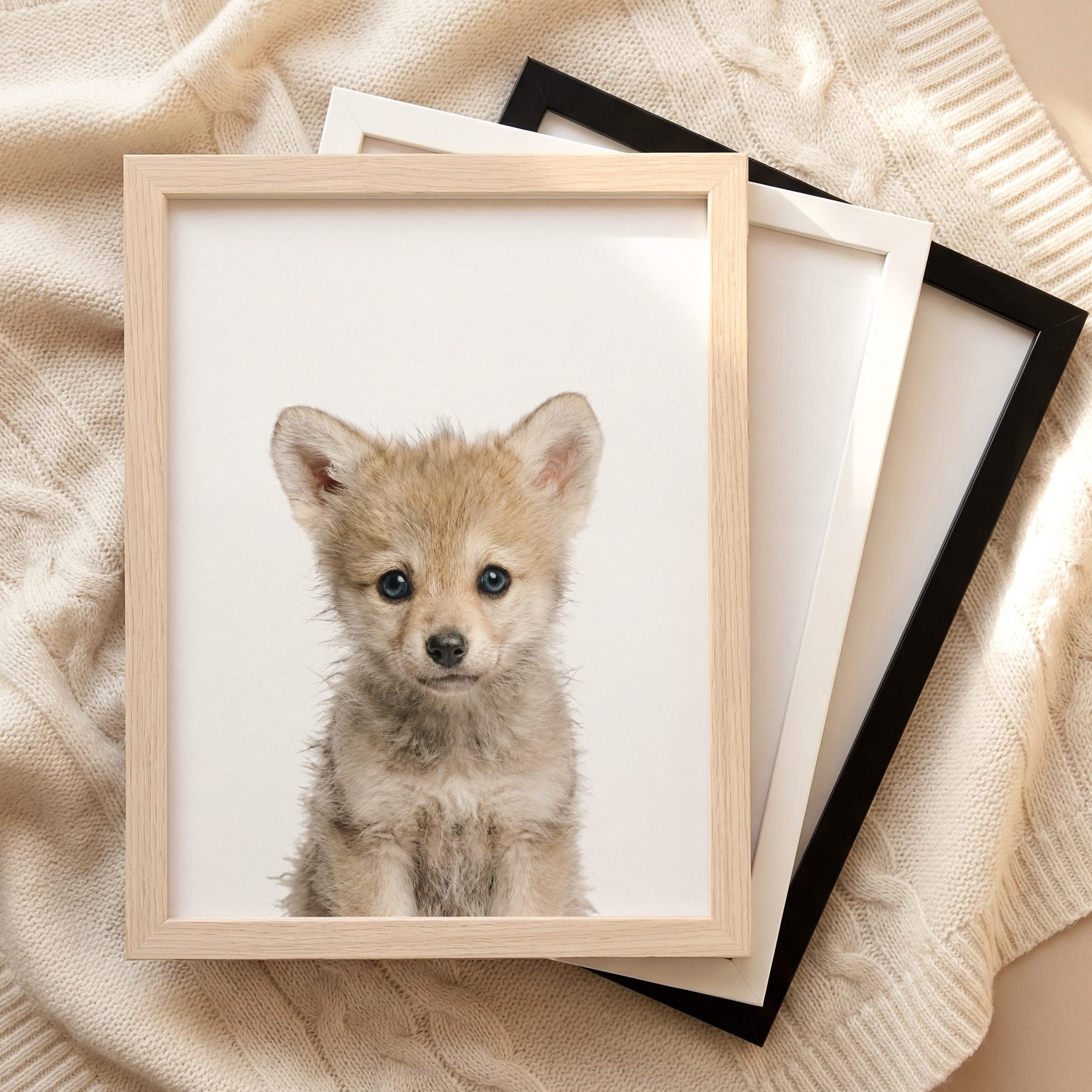 The Baby Animals 2026 Collection