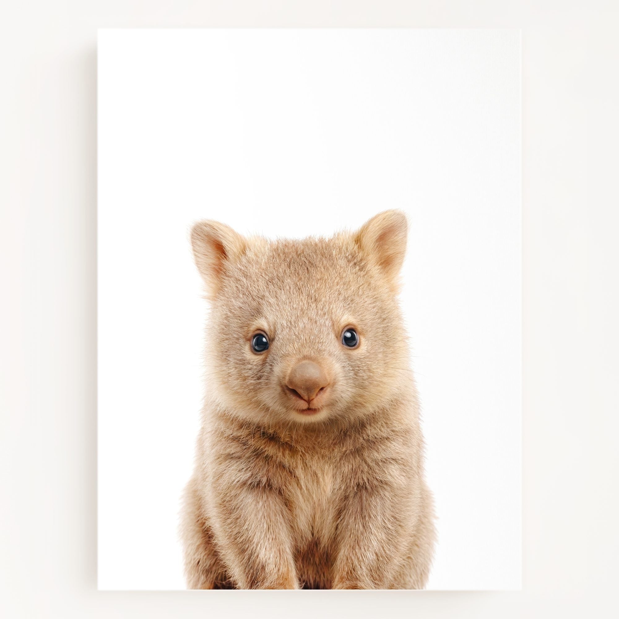 The Baby Animals 2026 Collection