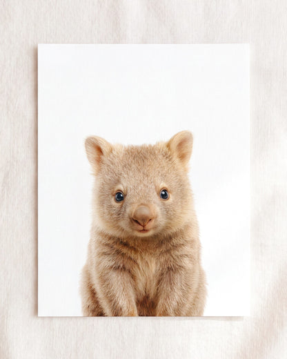 The Baby Animals 2026 Collection