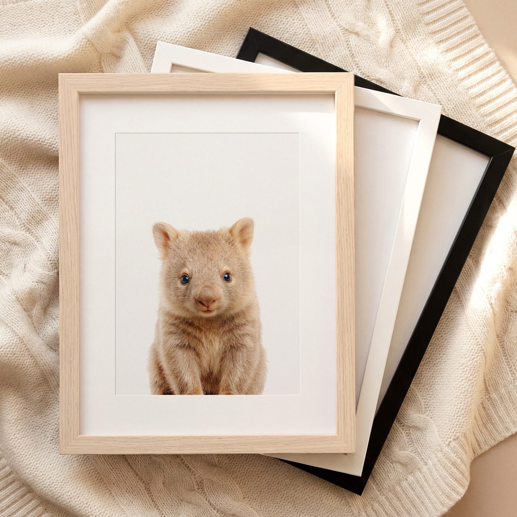 The Baby Animals 2026 Collection
