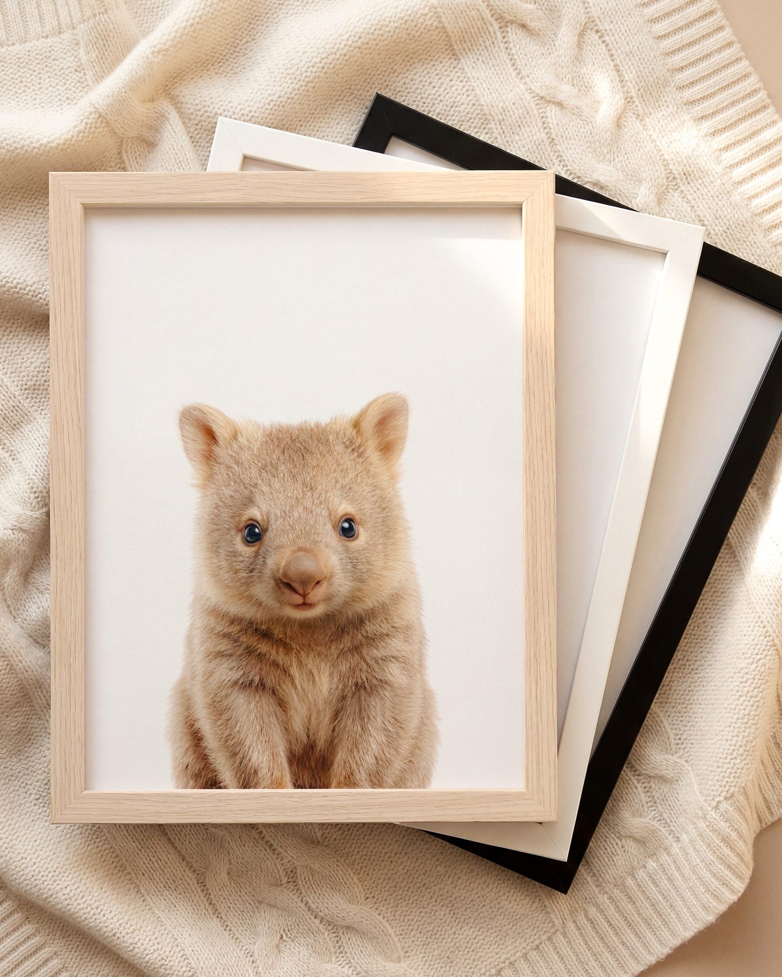 The Baby Animals 2026 Collection
