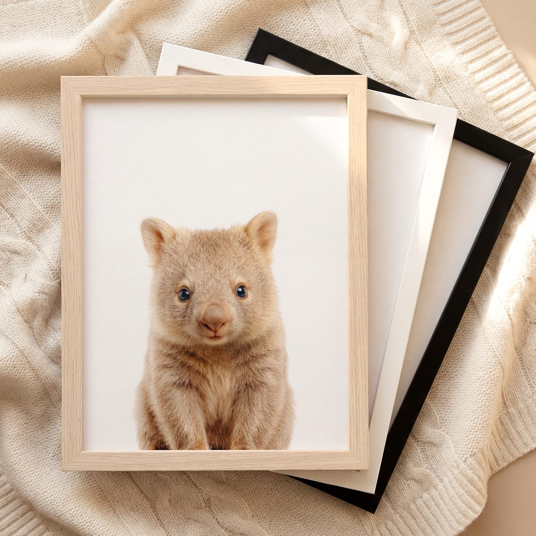 The Baby Animals 2026 Collection