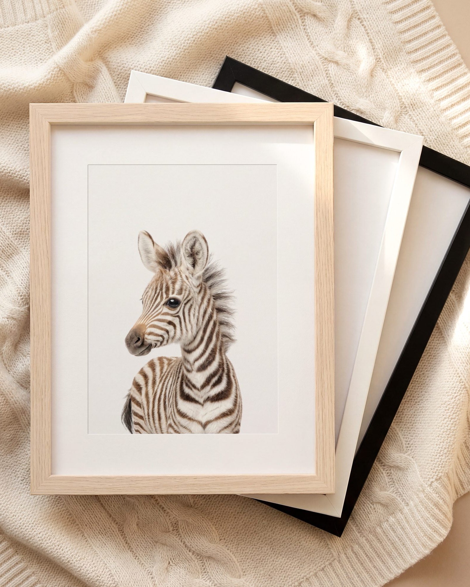 The Baby Animals 2026 Collection