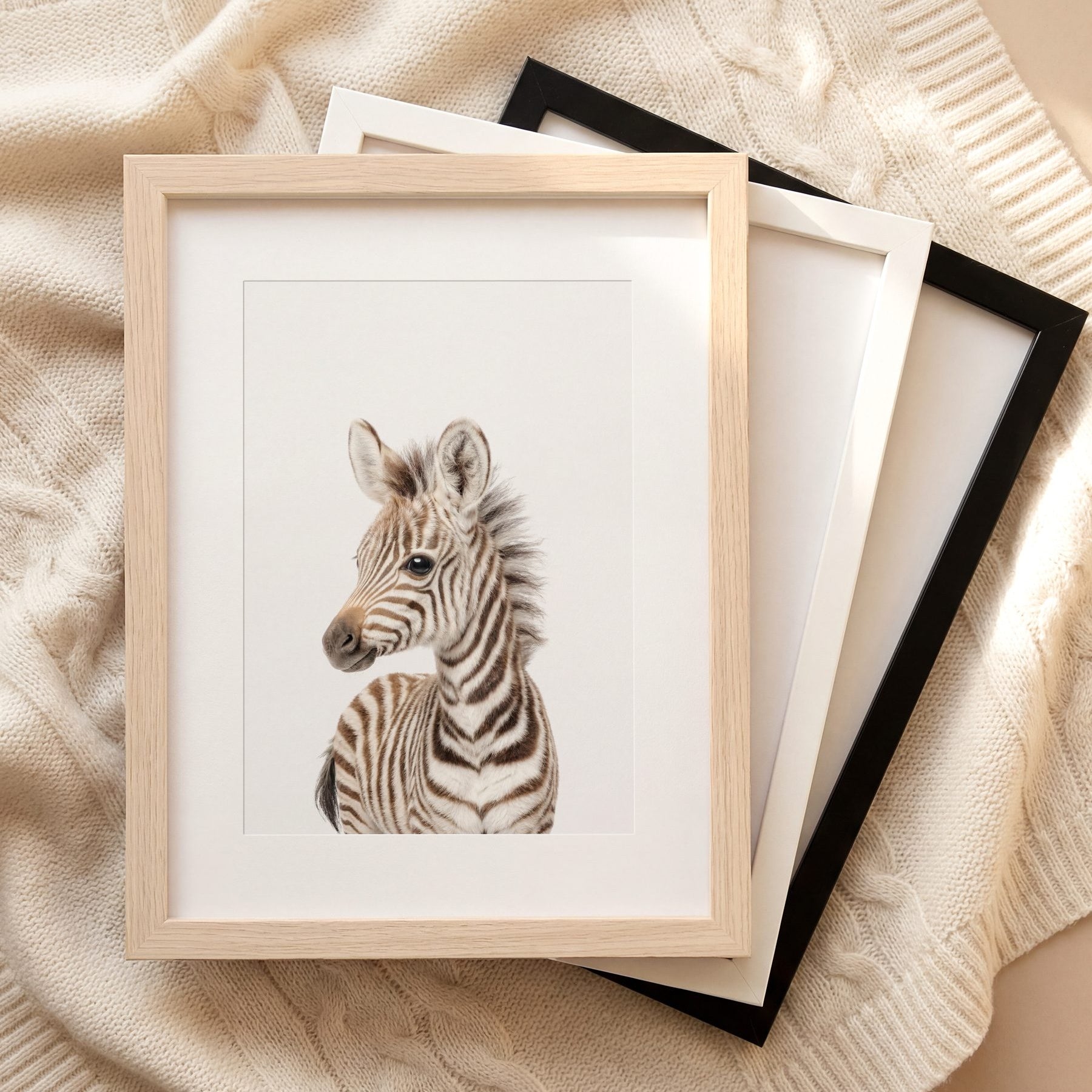 The Baby Animals 2026 Collection