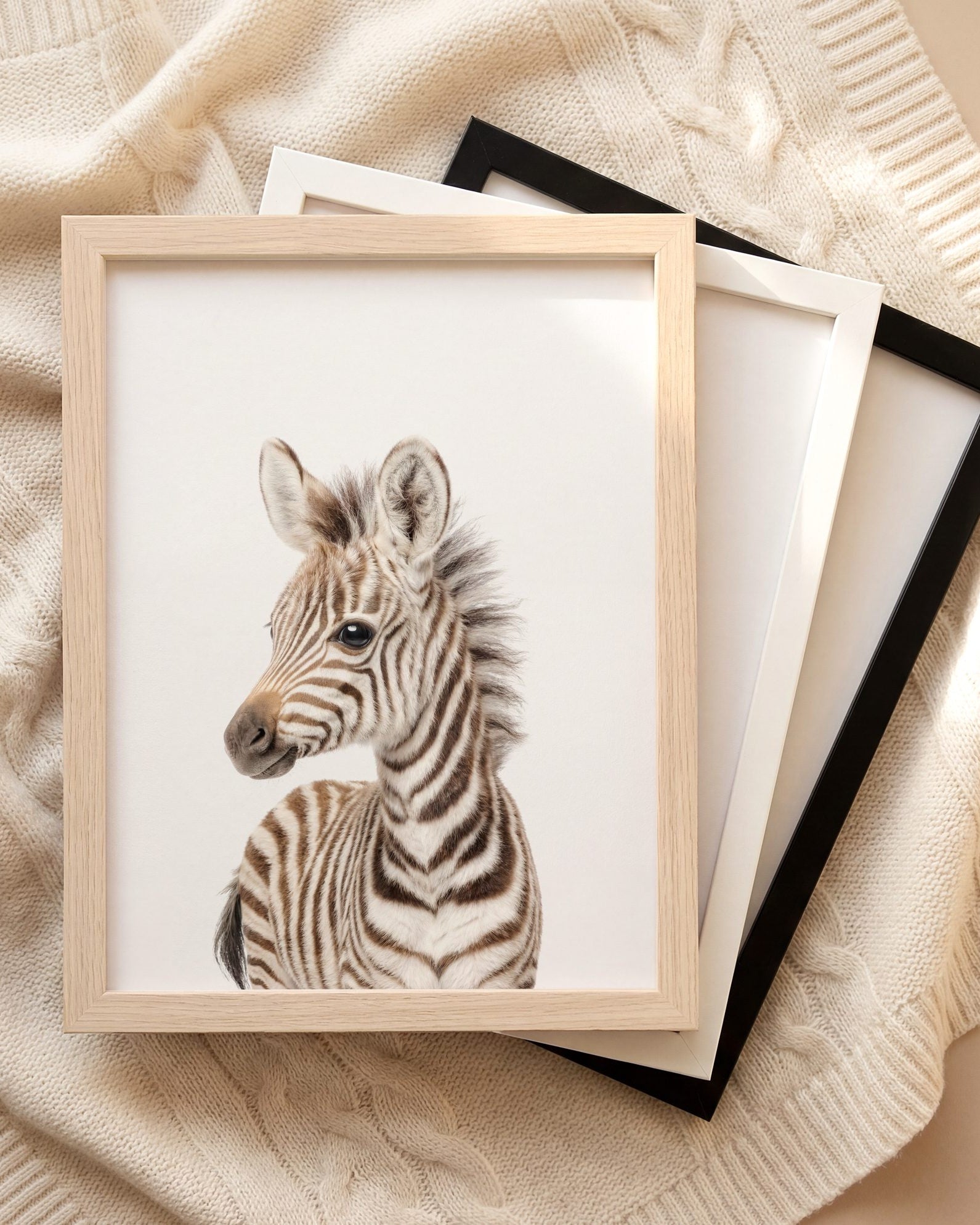 The Baby Animals 2026 Collection
