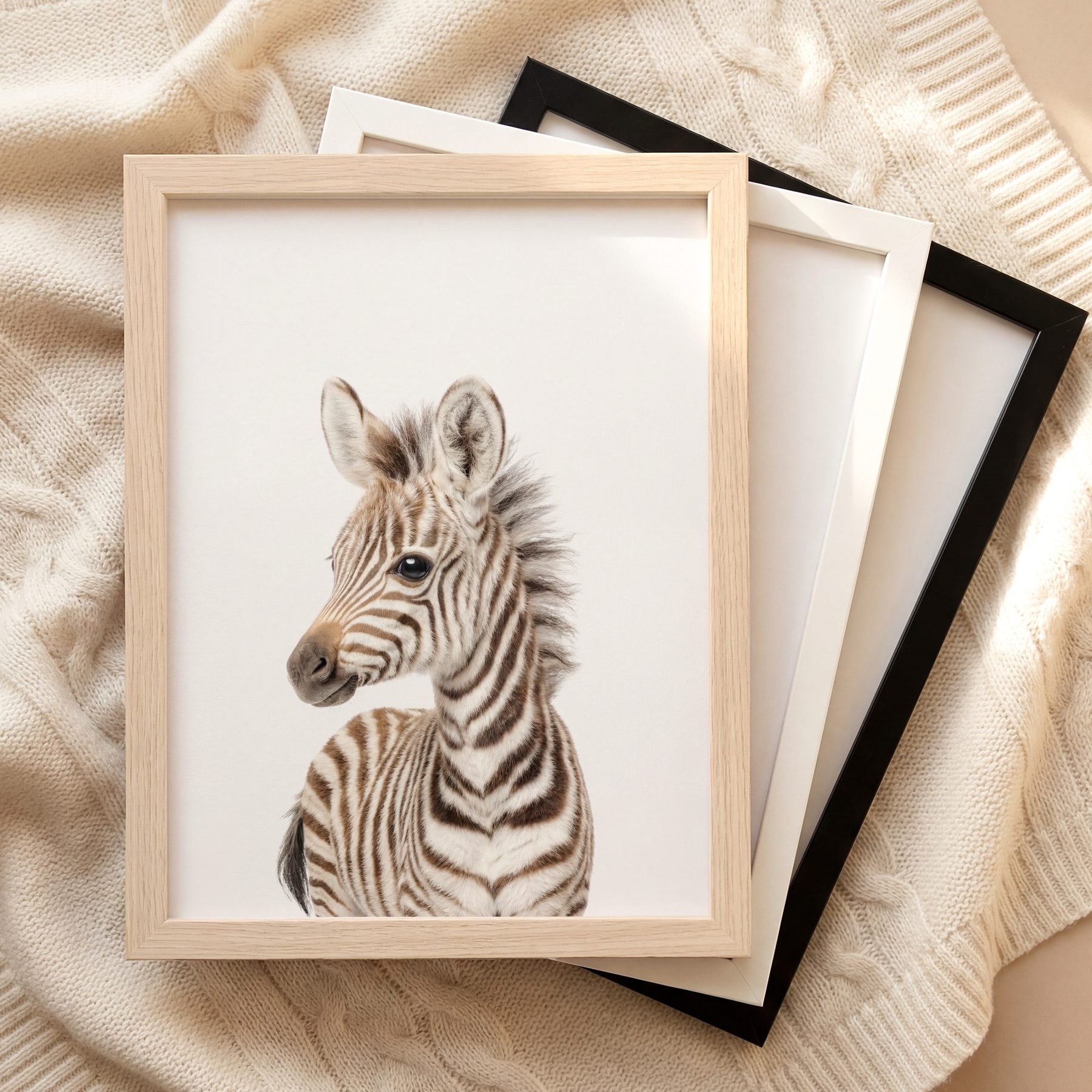 The Baby Animals 2026 Collection