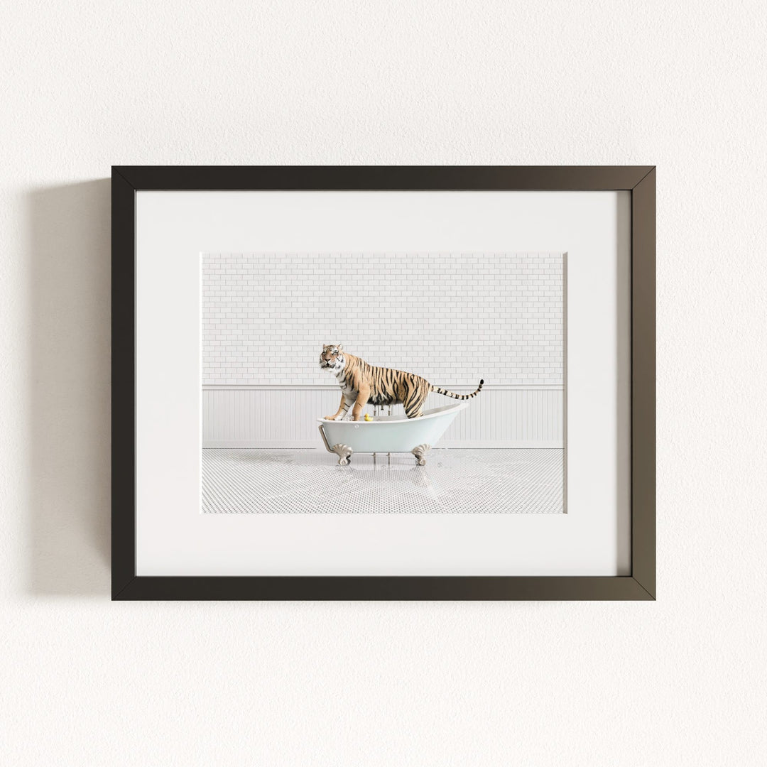 Tiger in Blue Bathtub