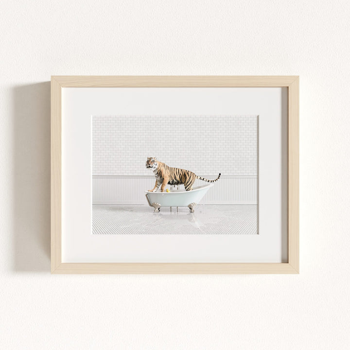 Tiger in Blue Bathtub