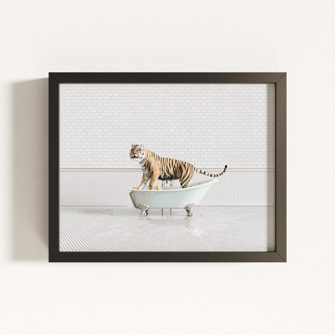 Tiger in Blue Bathtub