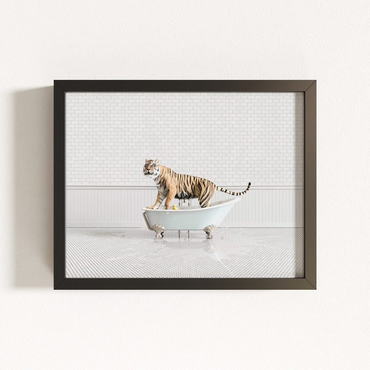Tiger in Blue Bathtub