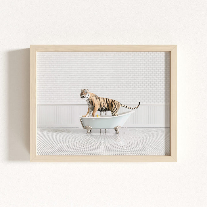 Tiger in Blue Bathtub