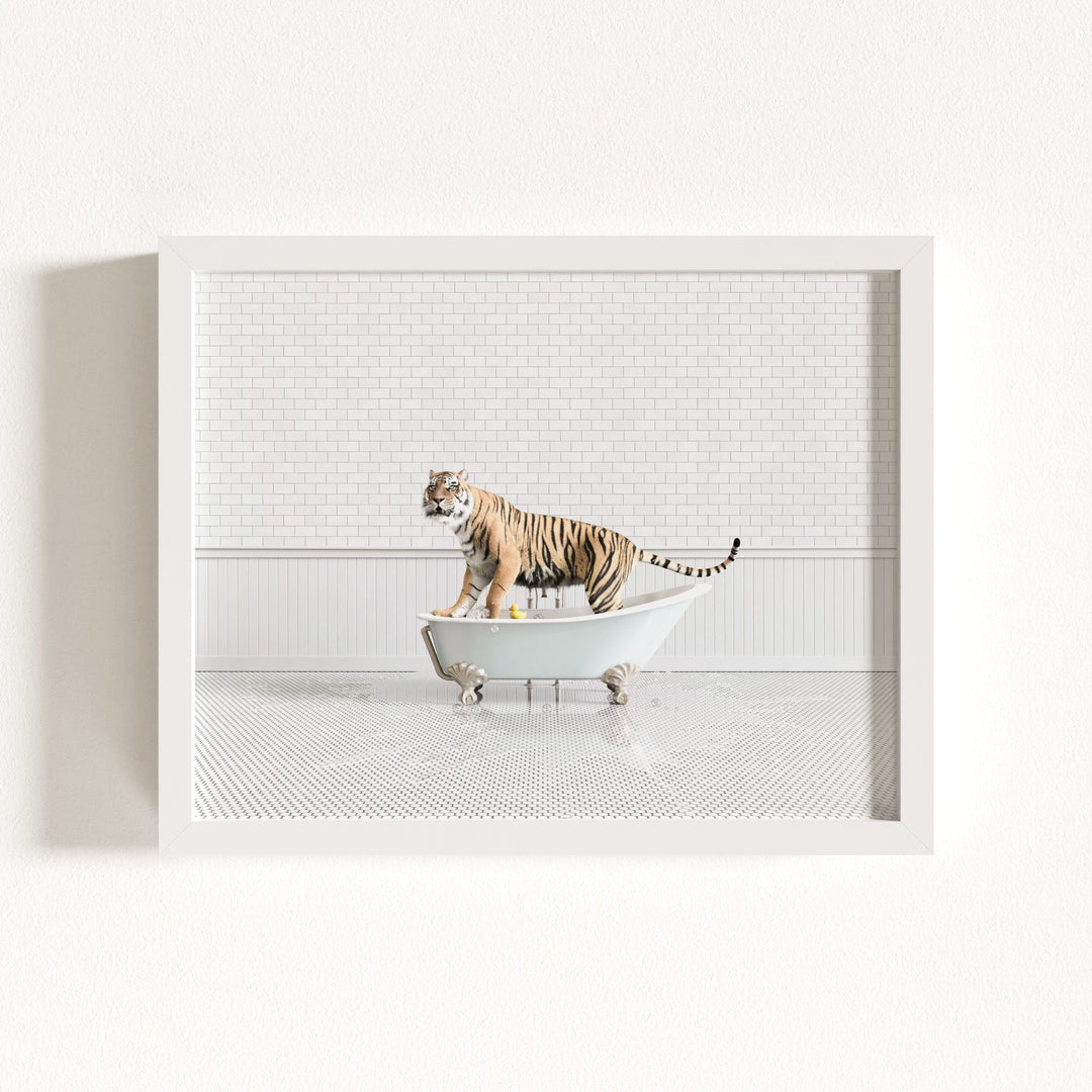 Tiger in Blue Bathtub