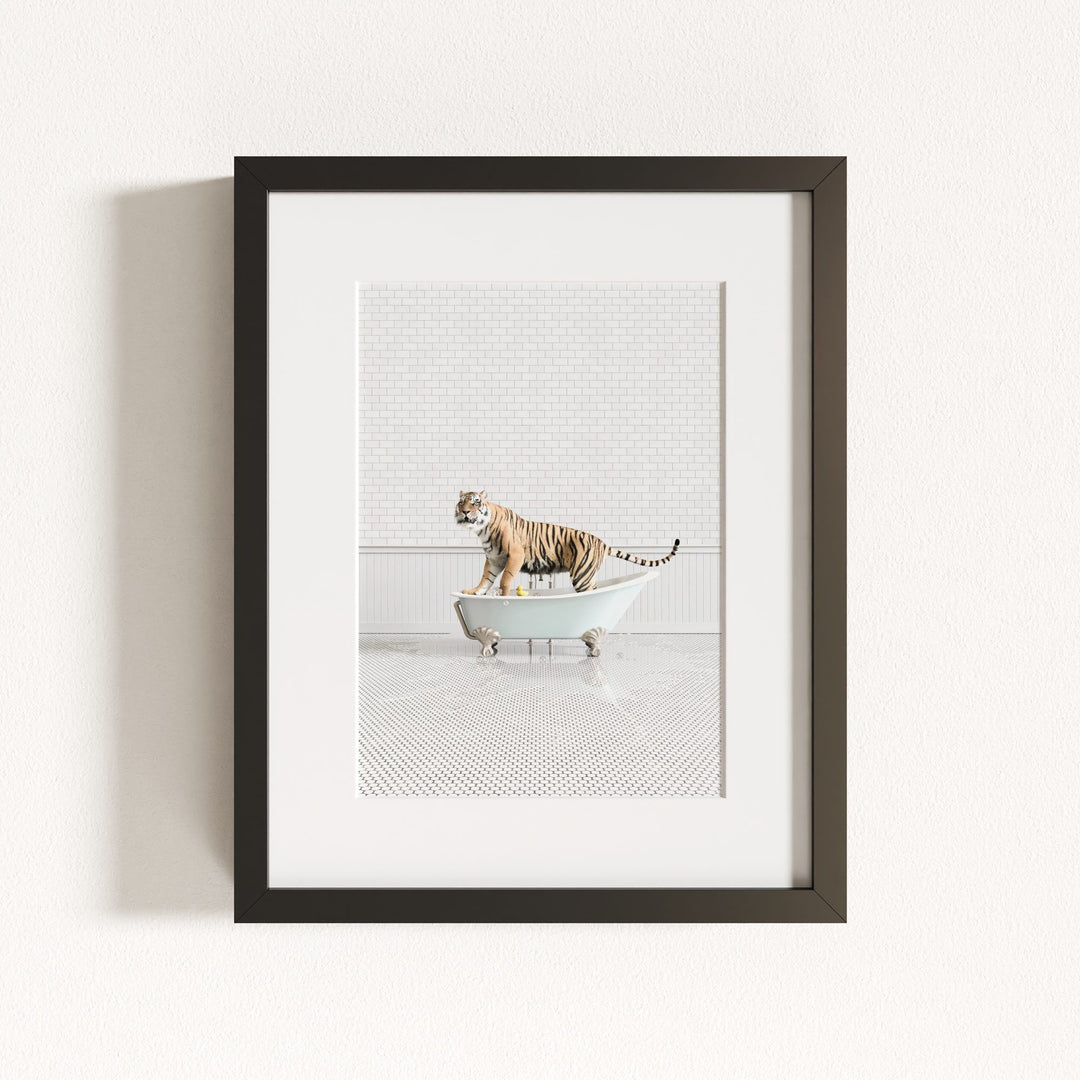 Tiger in Blue Bathtub