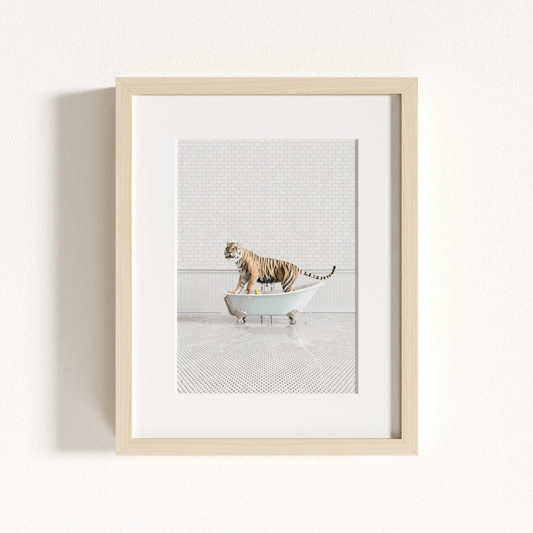 Tiger in Blue Bathtub