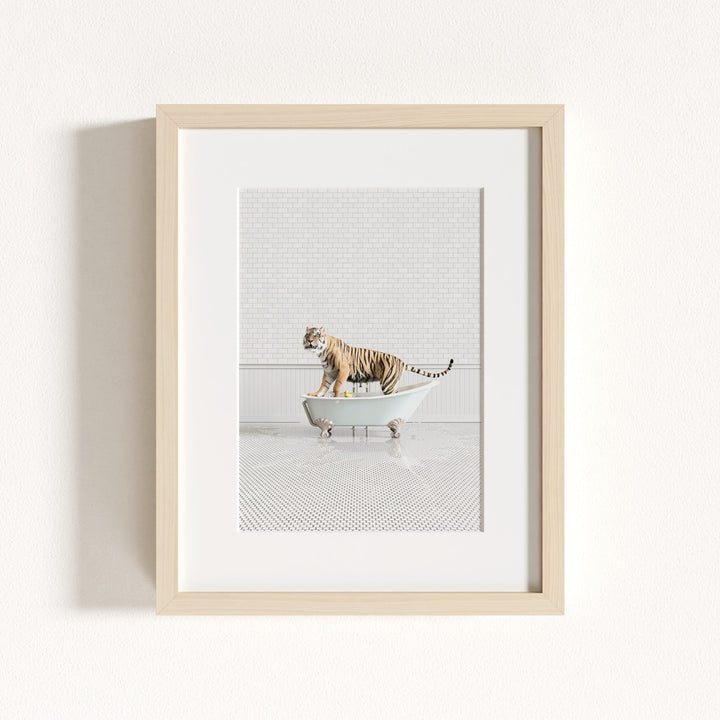 Tiger in Blue Bathtub