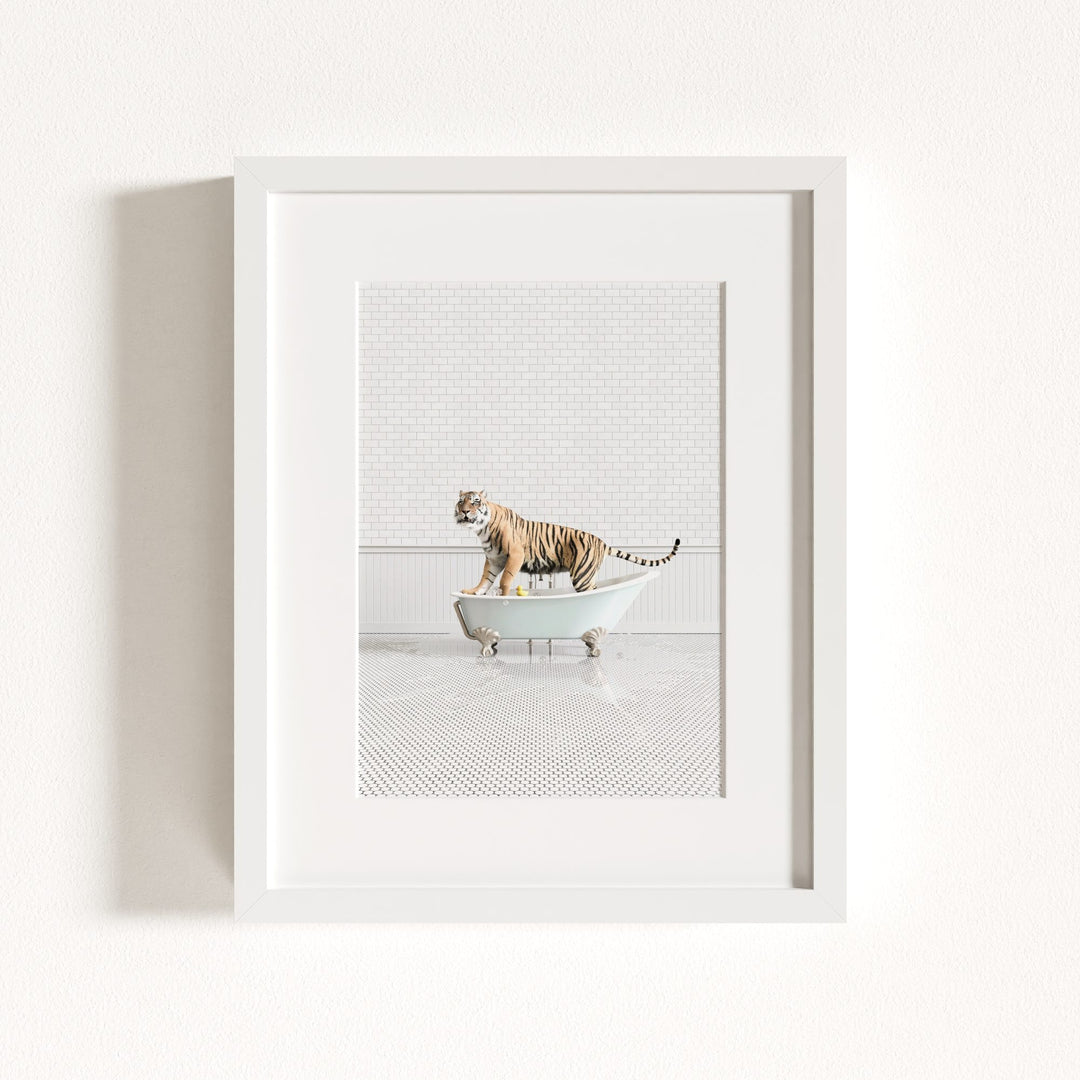 Tiger in Blue Bathtub