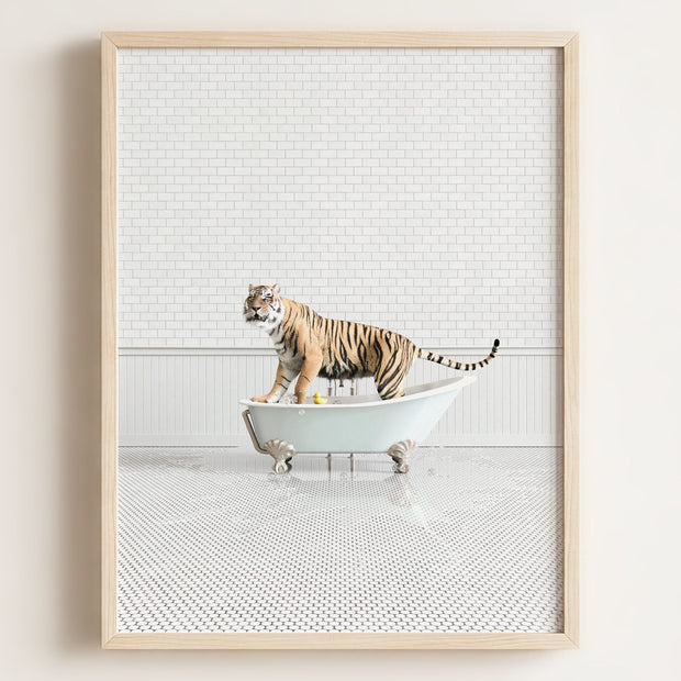 Tiger in Blue Bathtub