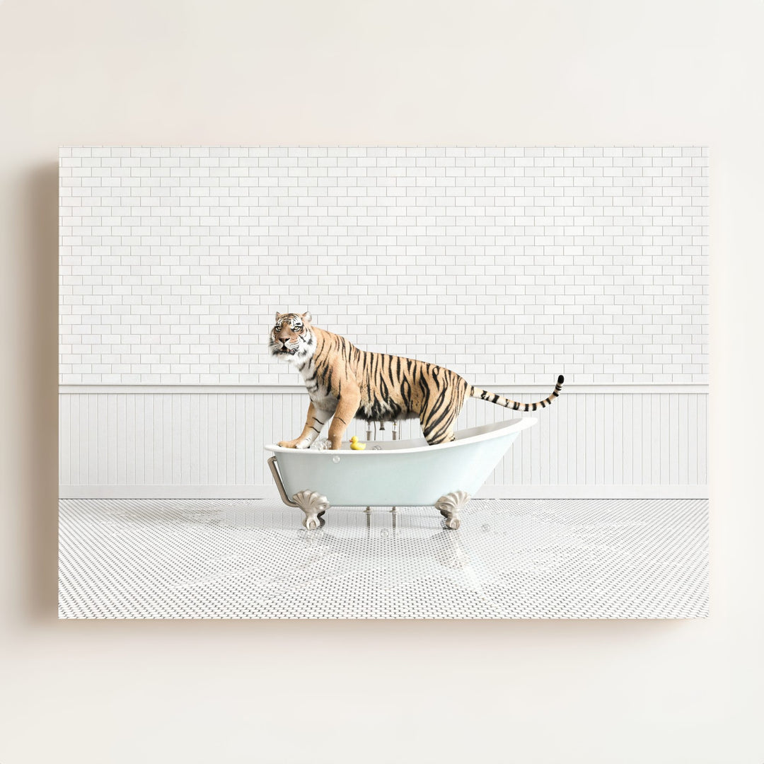 Tiger in Blue Bathtub