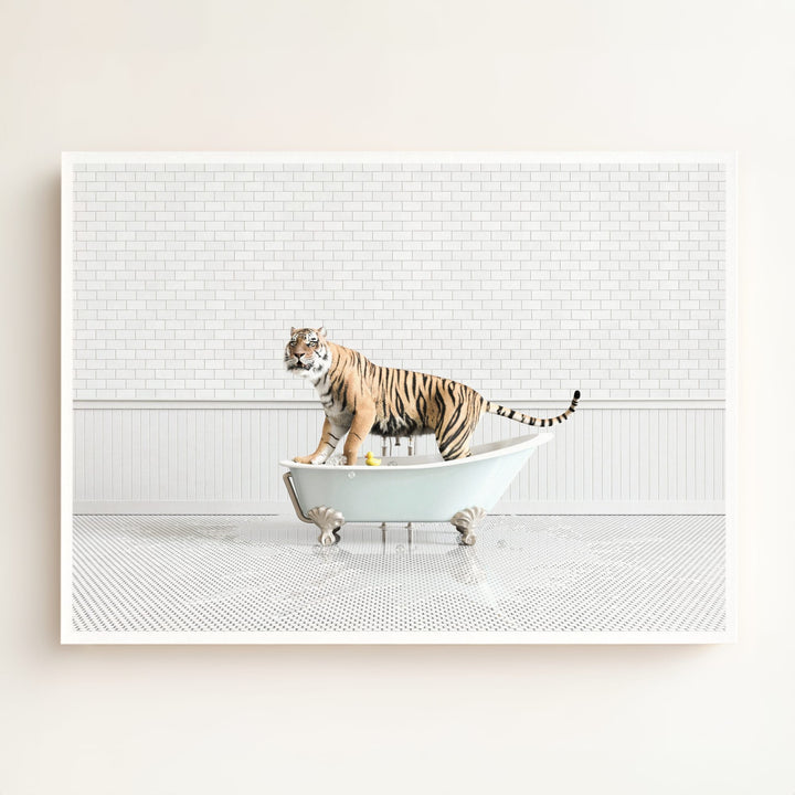 Tiger in Blue Bathtub