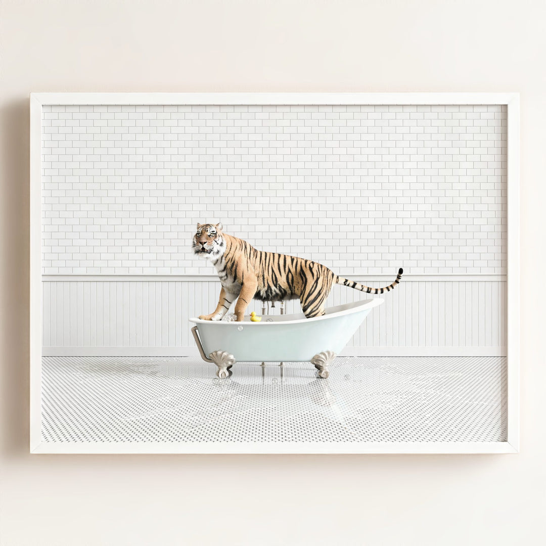 Tiger in Blue Bathtub